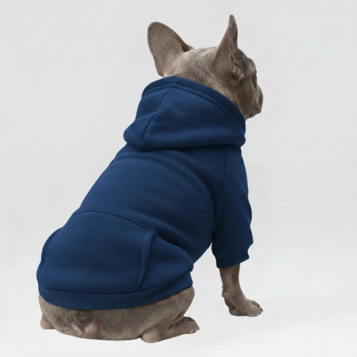 Vêtements pour Chien Sportifs Multicolores Automne Hiver à Poches et Jambes Doubles - Image 3