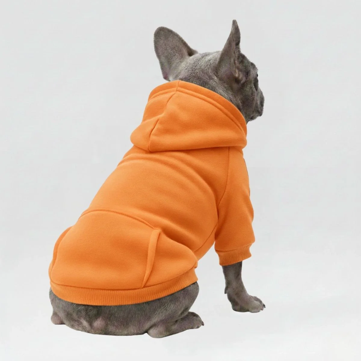 Vêtements pour Chien Sportifs Multicolores Automne Hiver à Poches et Jambes Doubles - Image 4