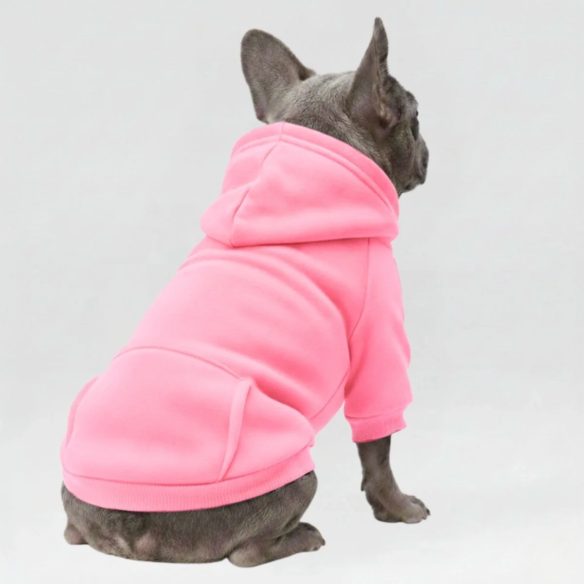 Vêtements pour Chien Sportifs Multicolores Automne Hiver à Poches et Jambes Doubles - Image 5