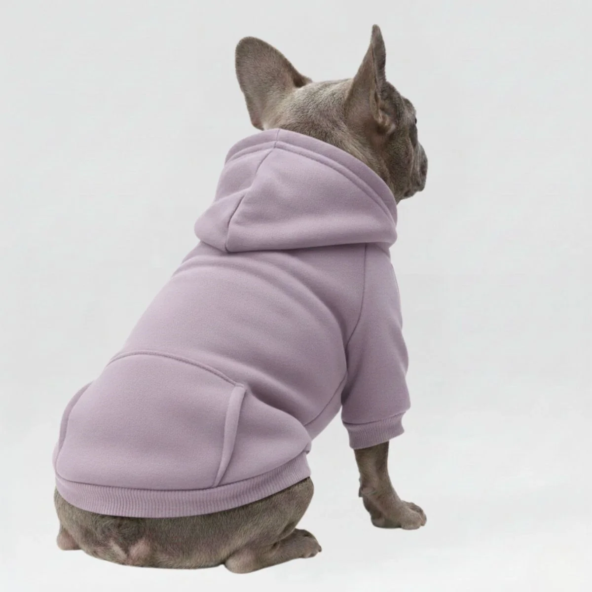 Vêtements pour Chien Sportifs Multicolores Automne Hiver à Poches et Jambes Doubles - Image 6