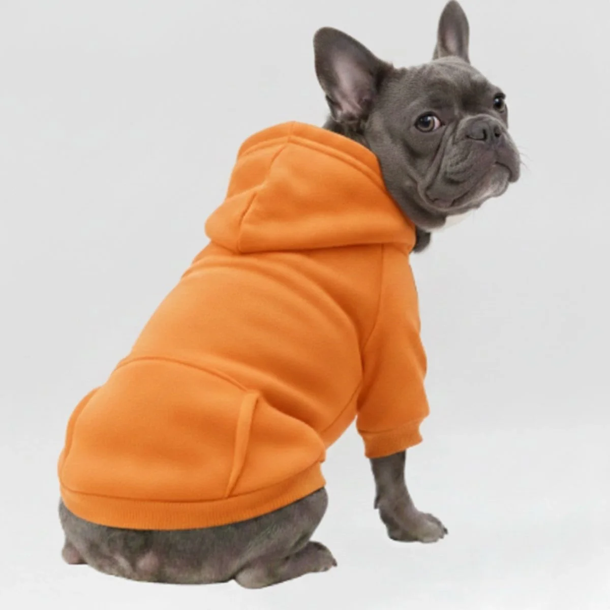 Vêtements pour Chien Sportifs Multicolores Automne Hiver à Poches et Jambes Doubles - Image 8